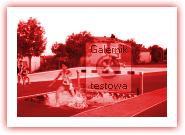(79/84): 