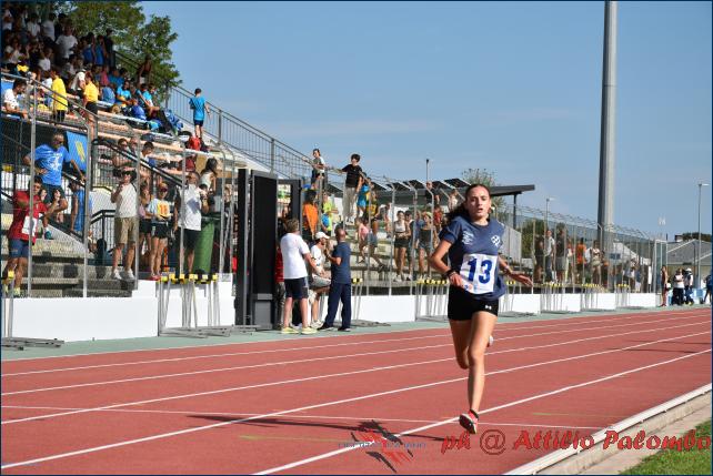 (219/253): 